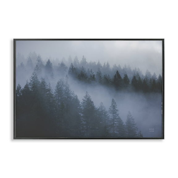 Stupell Industries Fog Filled Trees Landscape Landscape & Nature Photography Black Framed Art Print Wall Art, 18 x 12