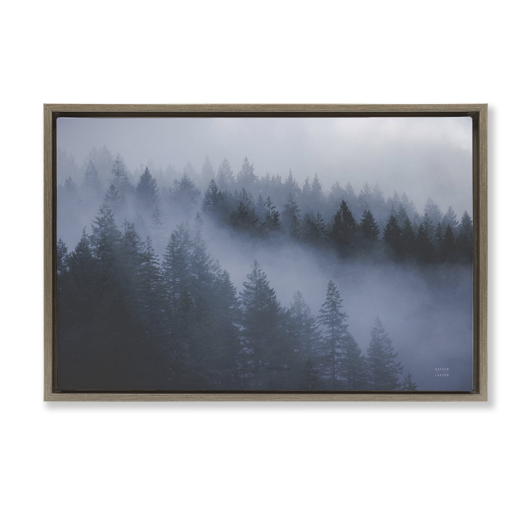 Stupell Industries Fog Filled Trees Landscape Landscape & Nature Photography Brown Floater Framed Canvas Art Print Wall Art, 31 x 21
