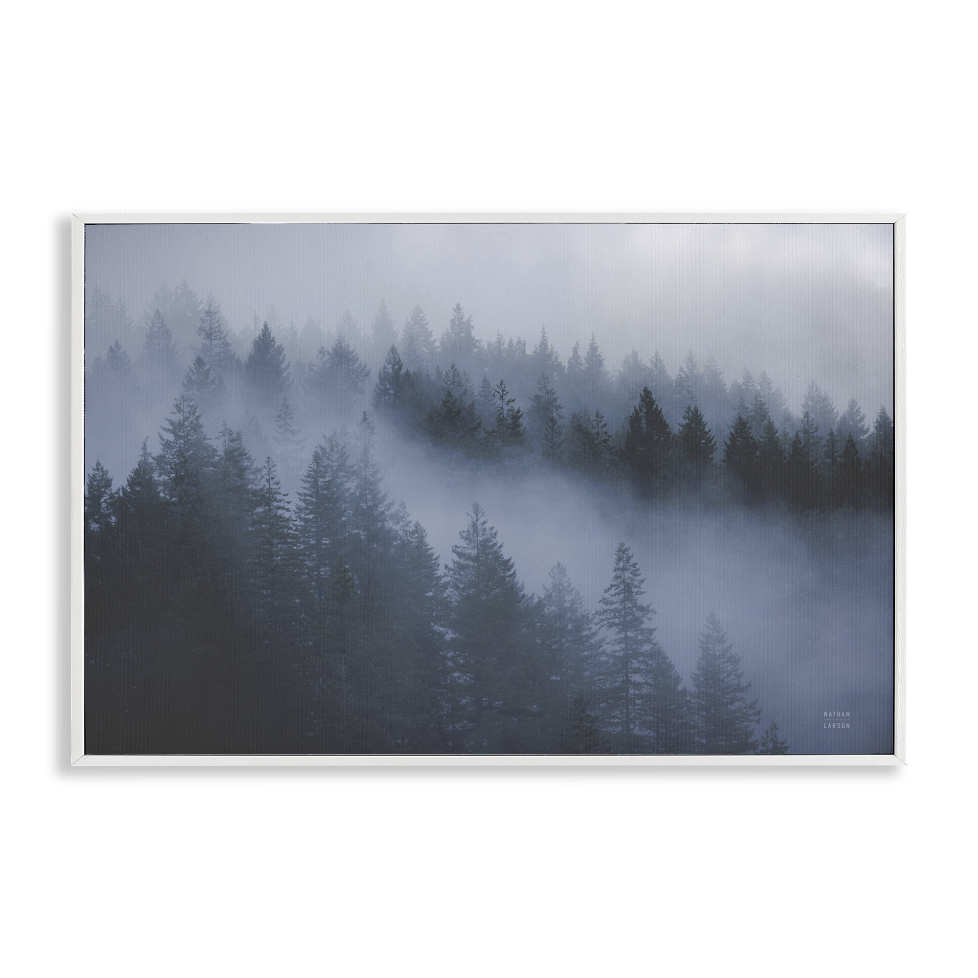 Stupell Industries Fog Filled Trees Landscape Landscape & Nature Photography White Framed Art Print Wall Art, 24 x 16