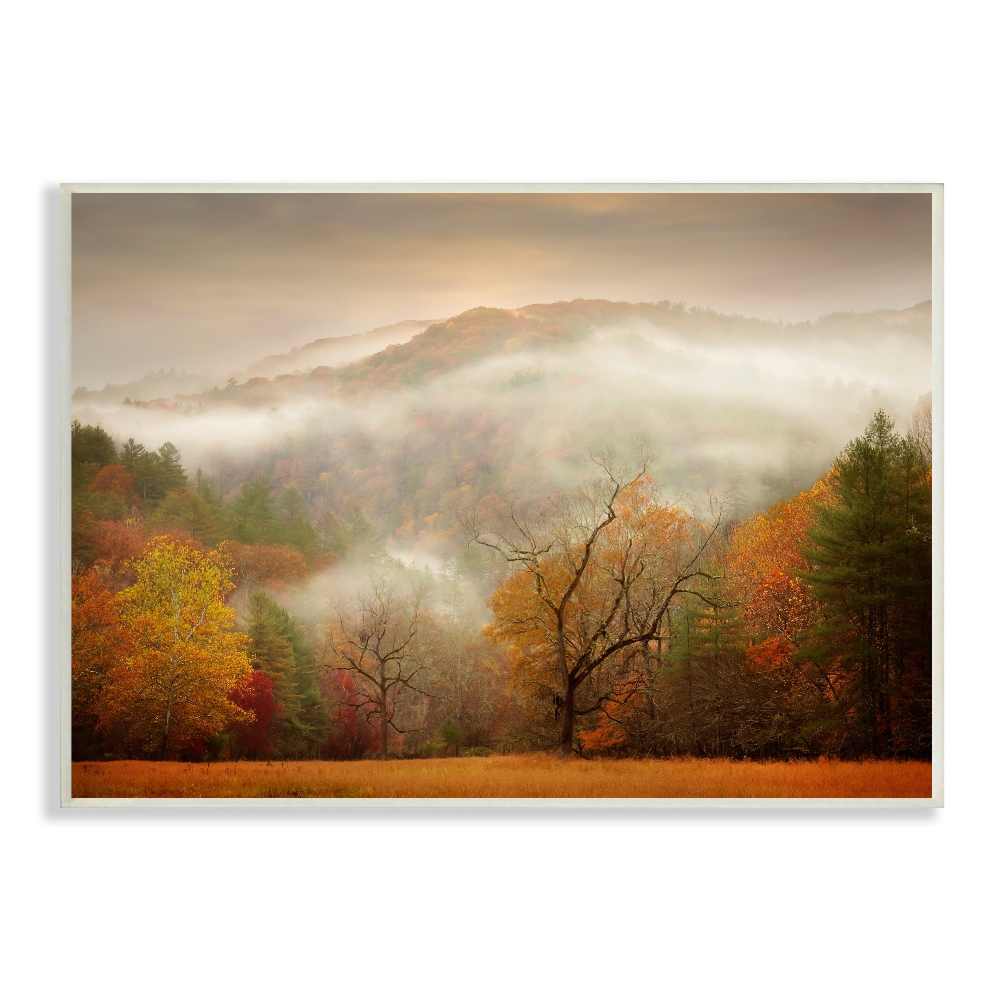 Stupell Industries Foggy Autumn Morning Mountain Forest Landscape Orange Red, 19 x 13,Design by PHBurchett