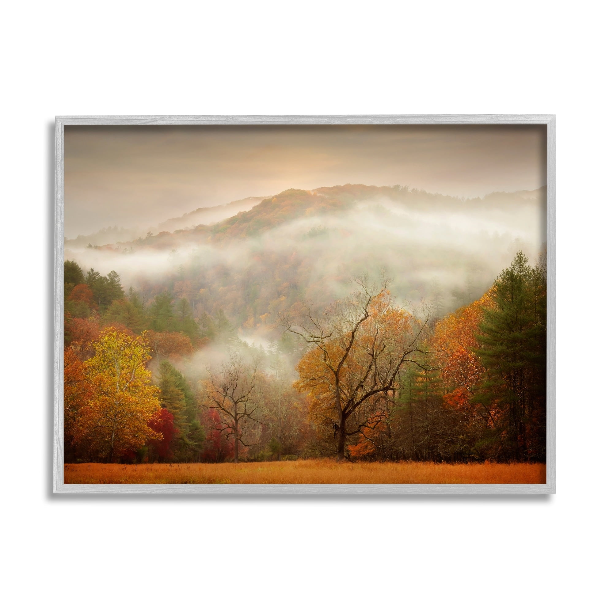 Stupell Industries Foggy Autumn Morning Mountain Forest Landscape Orange Red, 20 x 16,Design by PHBurchett