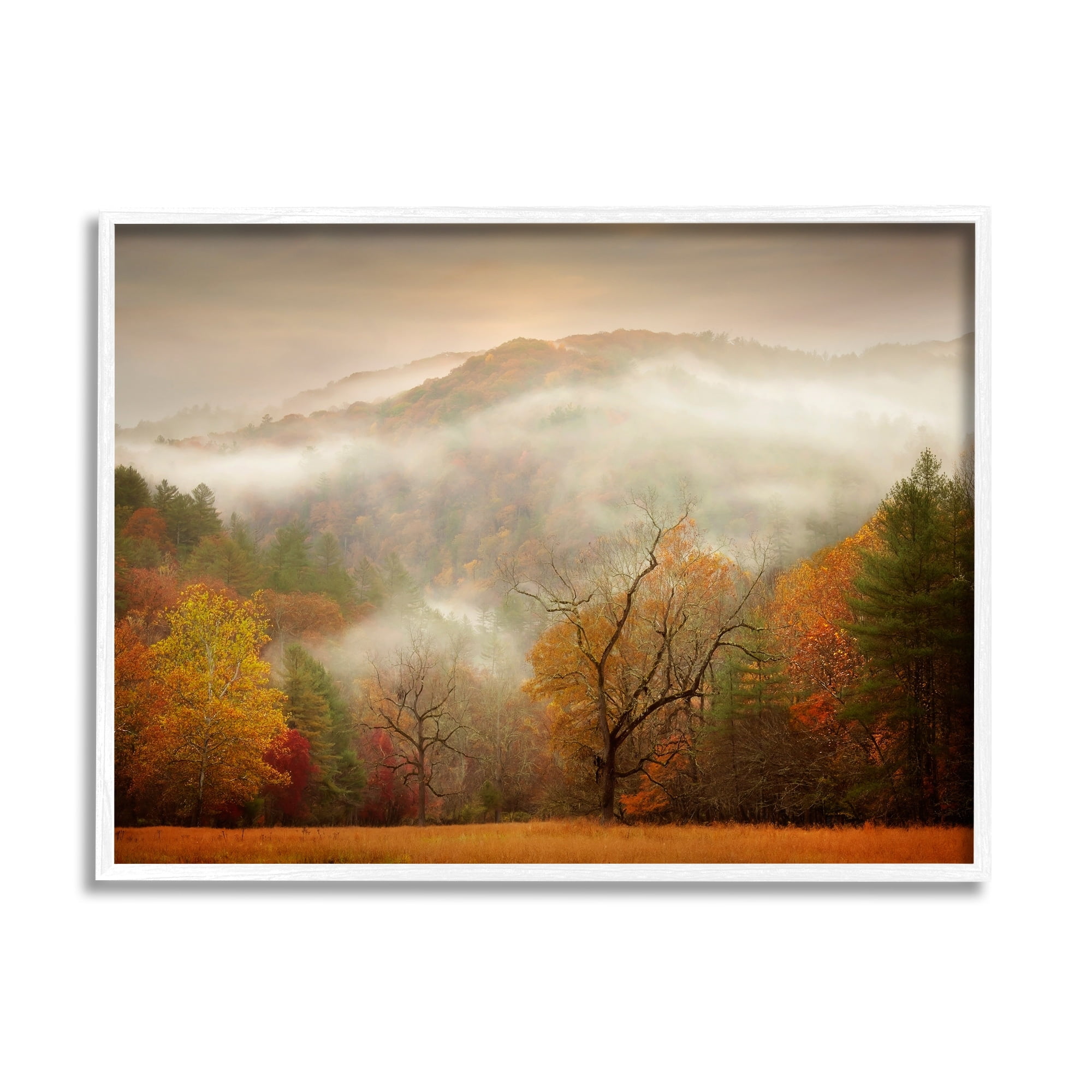 Stupell Industries Foggy Autumn Morning Mountain Forest Landscape Orange Red, 20 x 16,Design by PHBurchett