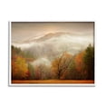 thumbnail image 1 of Stupell Industries Foggy Autumn Morning Mountain Forest Landscape Orange Red, 20 x 16,Design by PHBurchett, 1 of 5