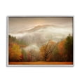 thumbnail image 1 of Stupell Industries Foggy Autumn Morning Mountain Forest Landscape Orange Red, 30 x 24,Design by PHBurchett, 1 of 5