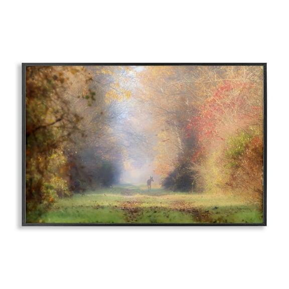 Stupell Industries Foggy Autumnal Forest Landscape & Nature Photography Black Framed Art Print Wall Art, 18 x 12