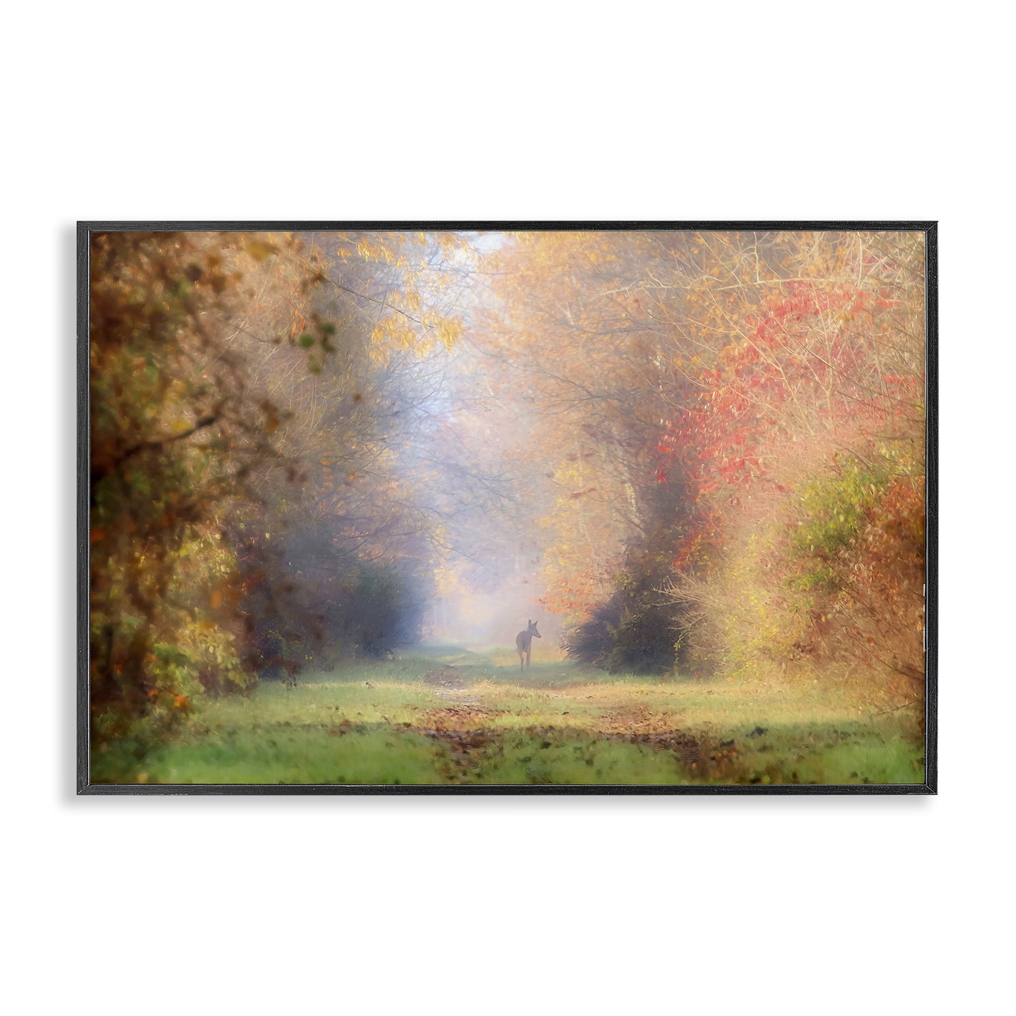 Stupell Industries Foggy Autumnal Forest Landscape & Nature Photography Black Framed Art Print Wall Art, 24 x 16