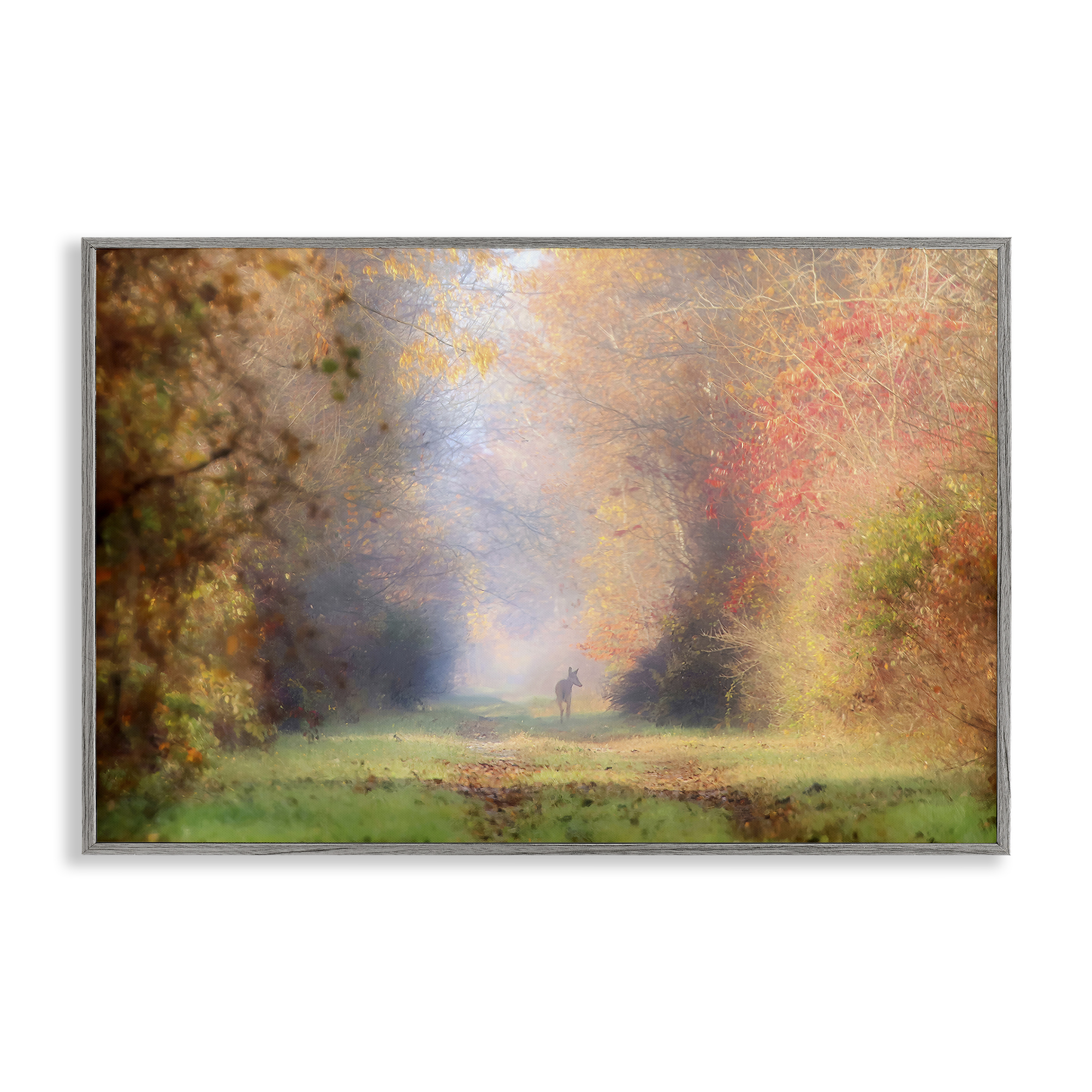 Stupell Industries Foggy Autumnal Forest Landscape & Nature Photography Gray Framed Art Print Wall Art, 18 x 12
