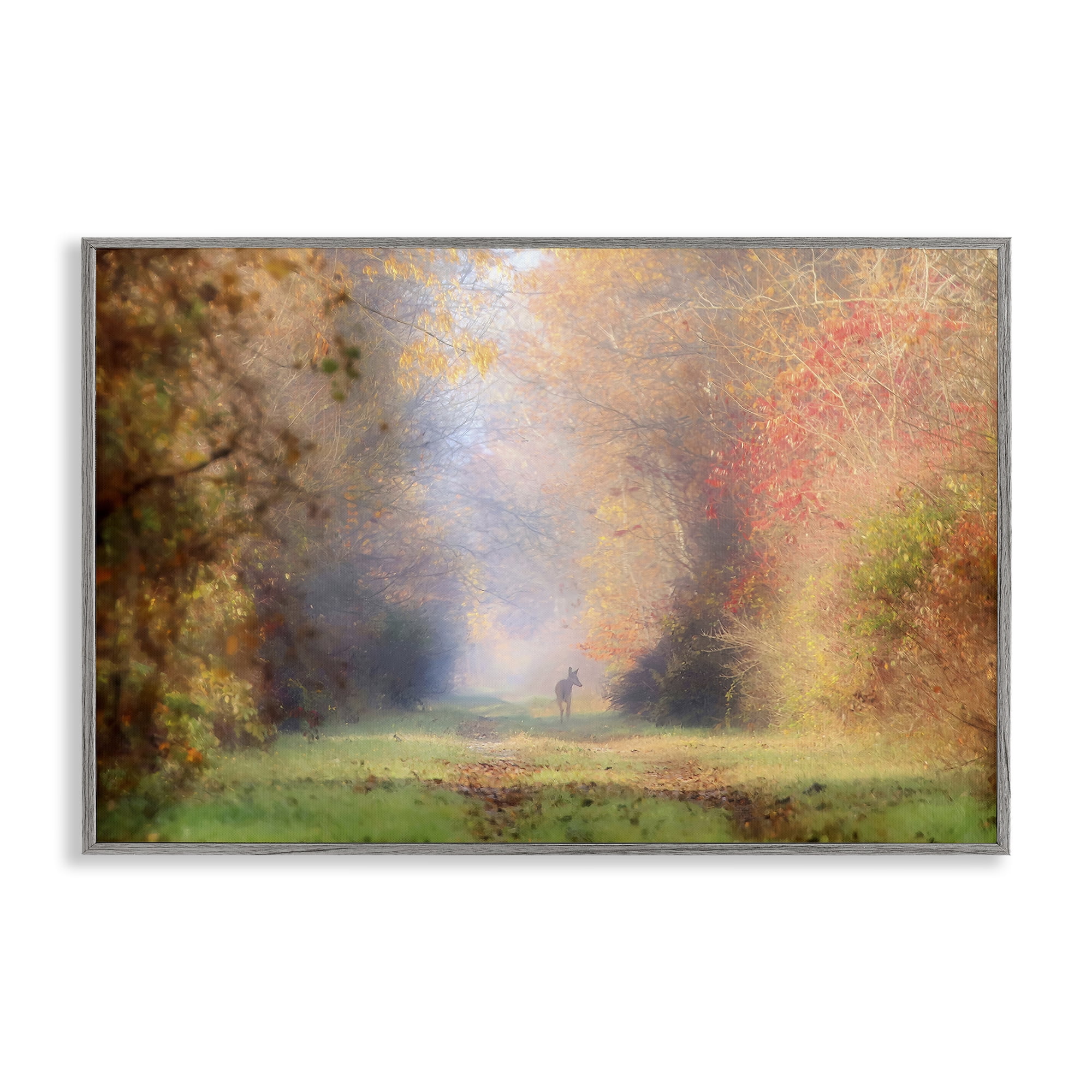 Stupell Industries Foggy Autumnal Forest Landscape & Nature Photography Gray Framed Art Print Wall Art, 30 x 20
