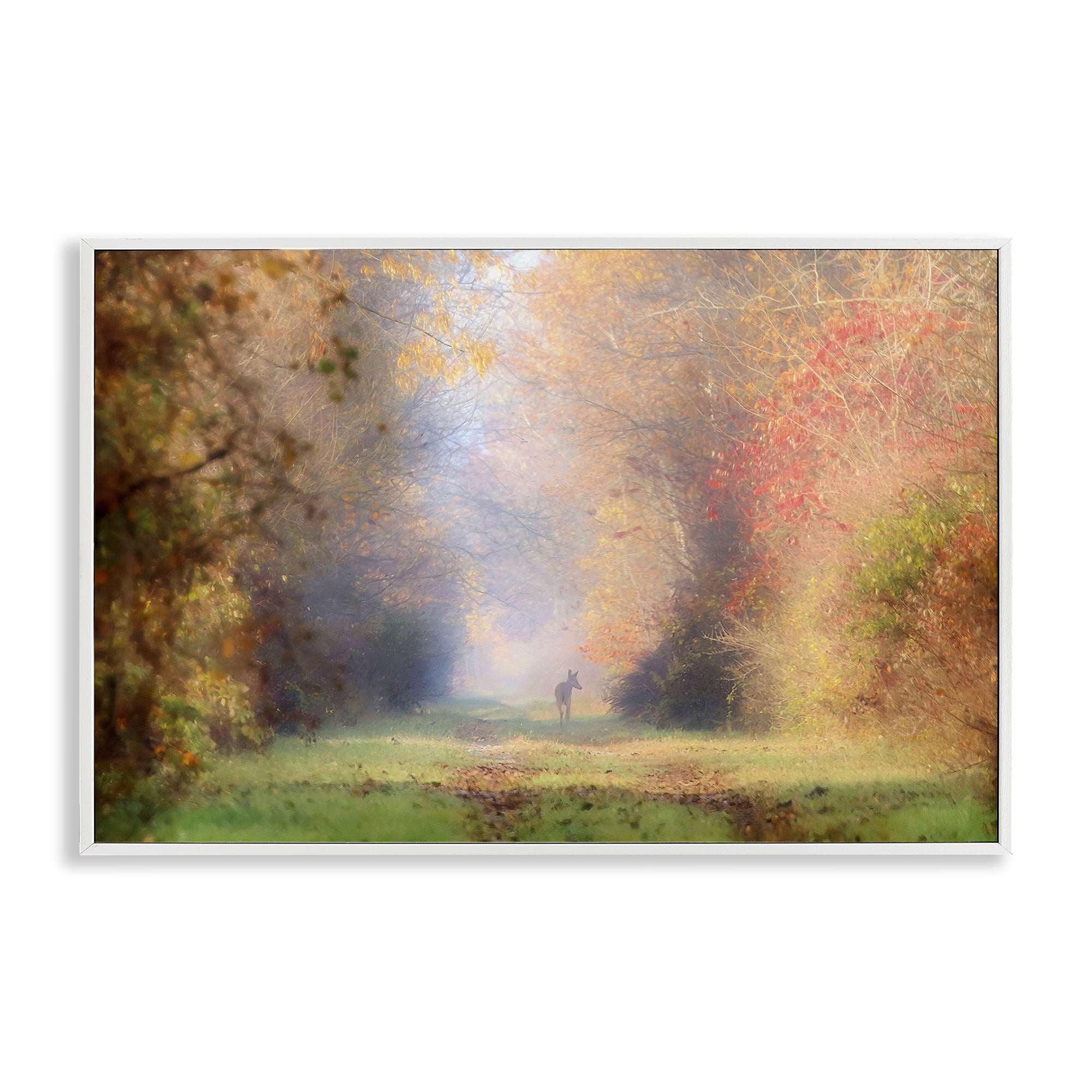 Stupell Industries Foggy Autumnal Forest Landscape & Nature Photography White Framed Art Print Wall Art, 30 x 20