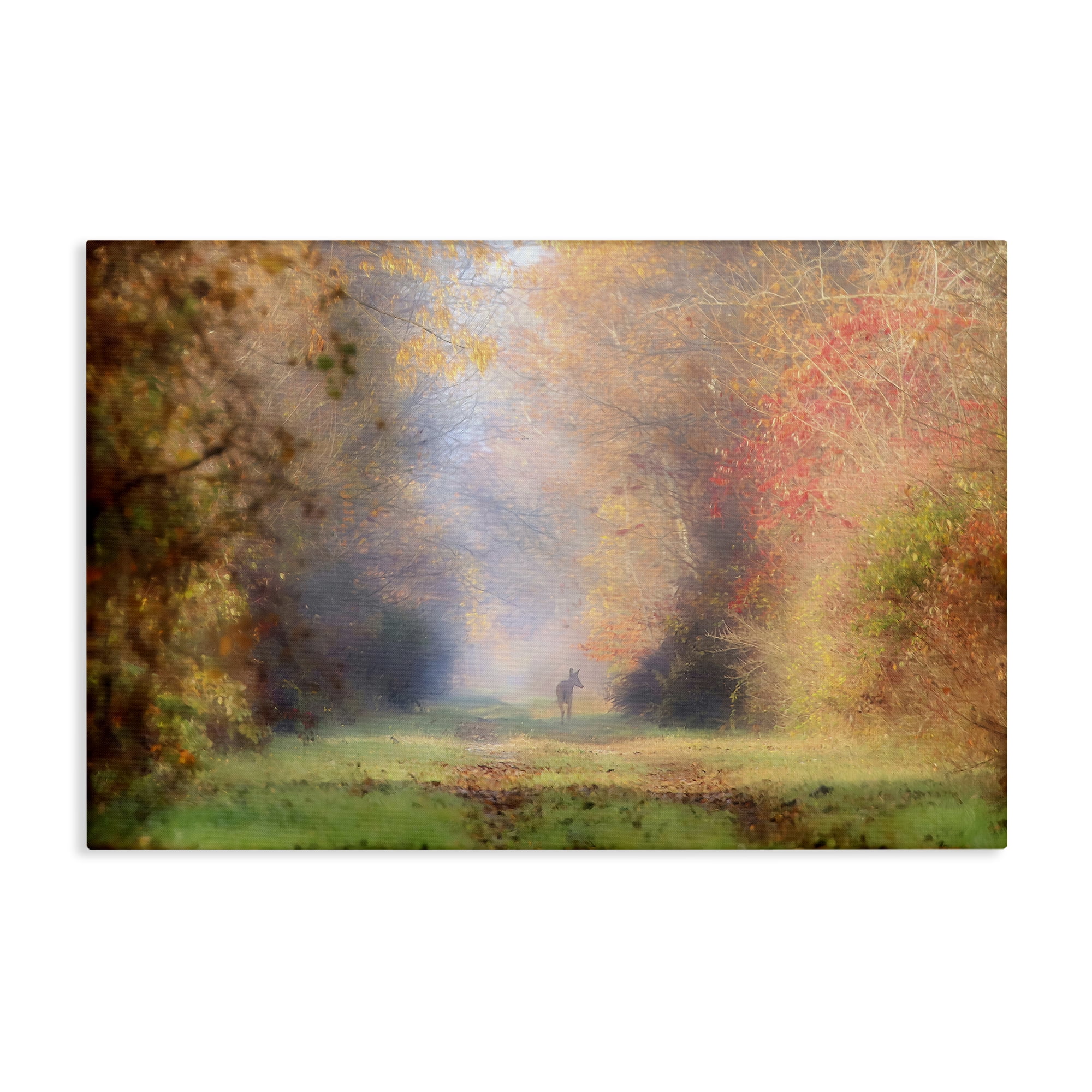Stupell Industries Foggy Autumnal Forest Landscape & Nature Photography Wrapped Canvas Art Print Wall Art, 30 x 20