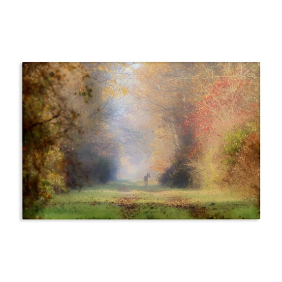 Stupell Industries Foggy Autumnal Forest Landscape & Nature Photography Wrapped Canvas Art Print Wall Art, 45 x 30