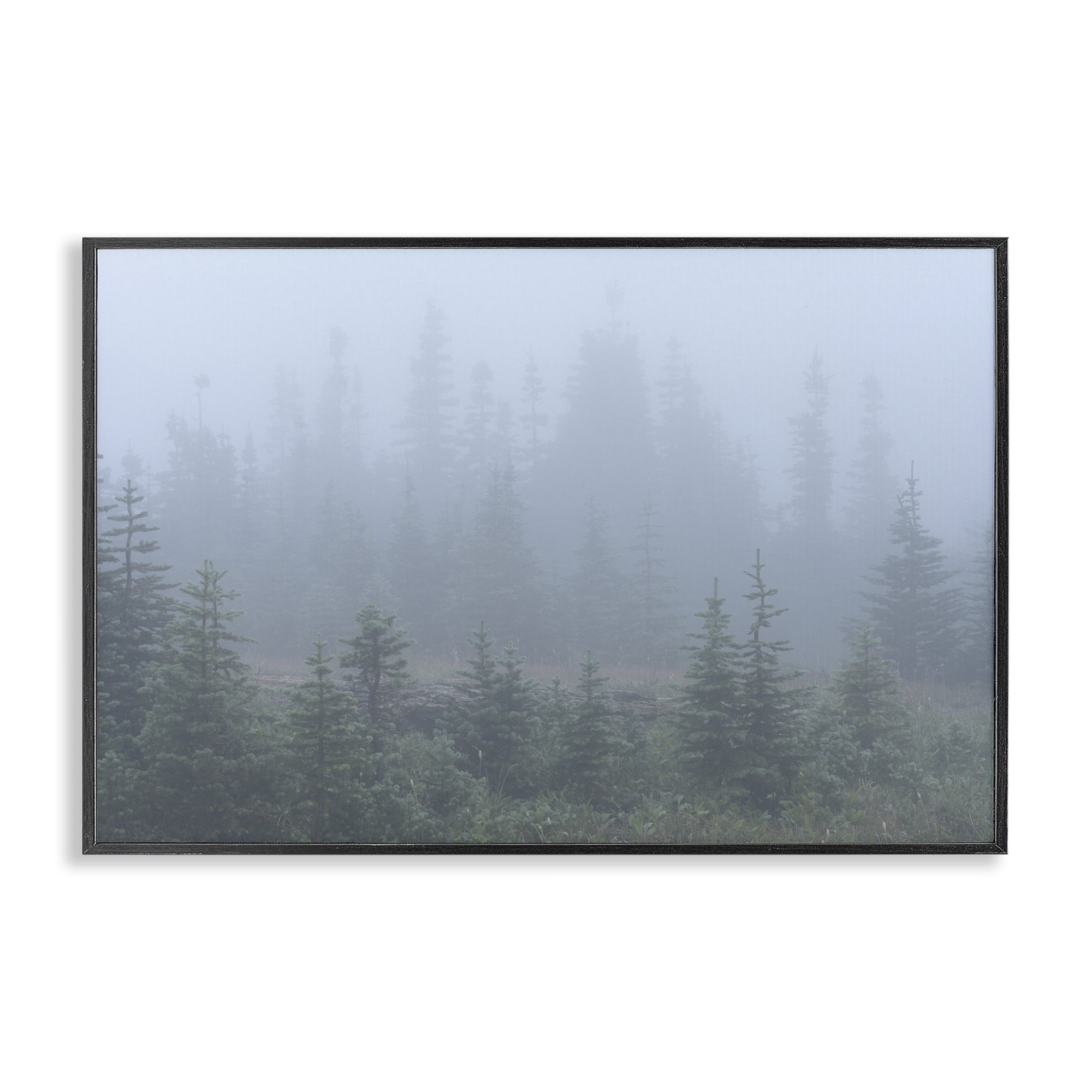 Stupell Industries Foggy Forest Trees Landscape Photography Black Framed Art Print Wall Art, 24 x 16