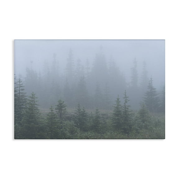 Stupell Industries Foggy Forest Trees Landscape Photography Gallery Wrapped Canvas Art Print Wall Art, 24 x 16