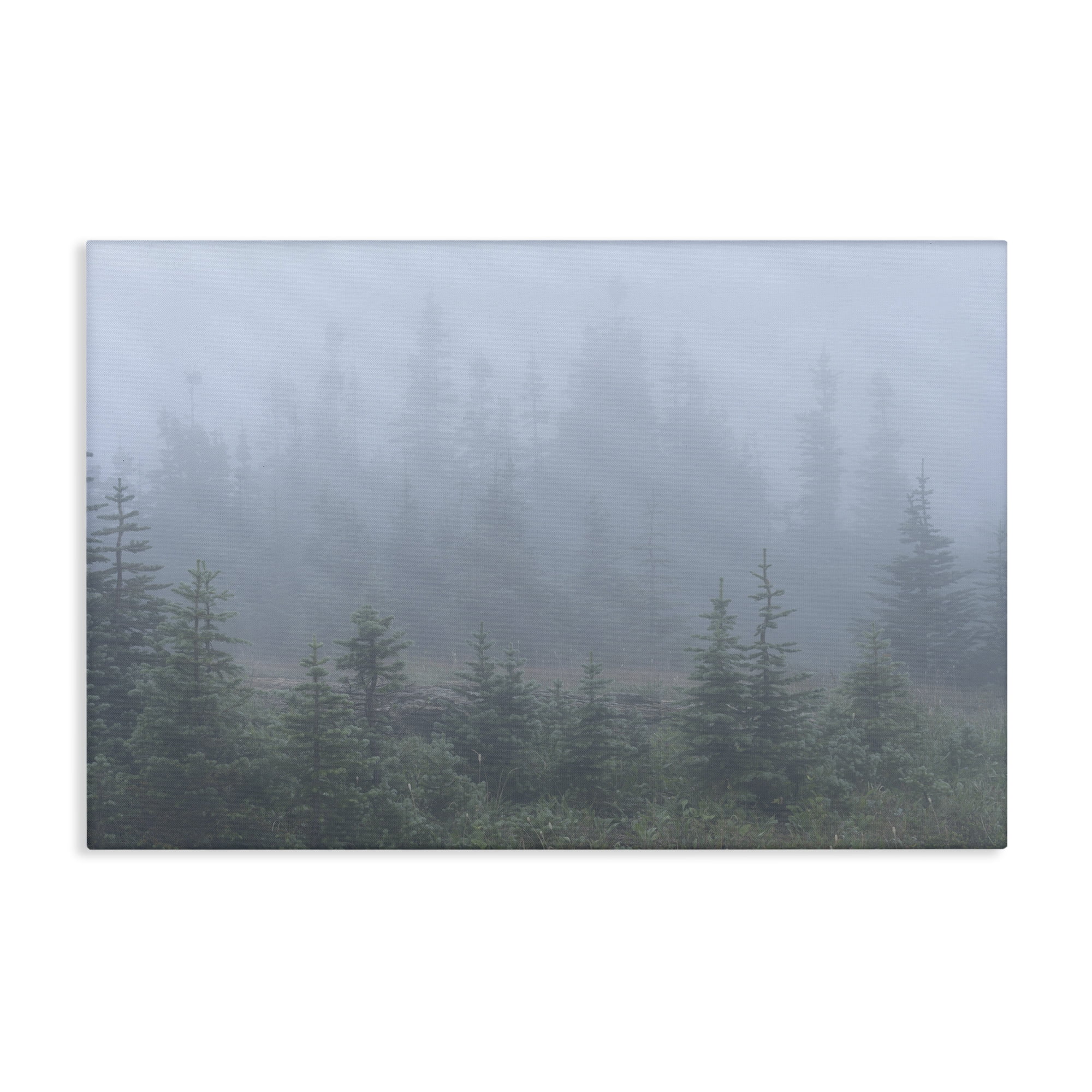 Stupell Industries Foggy Forest Trees Landscape Photography Gallery Wrapped Canvas Art Print Wall Art, 36 x 24