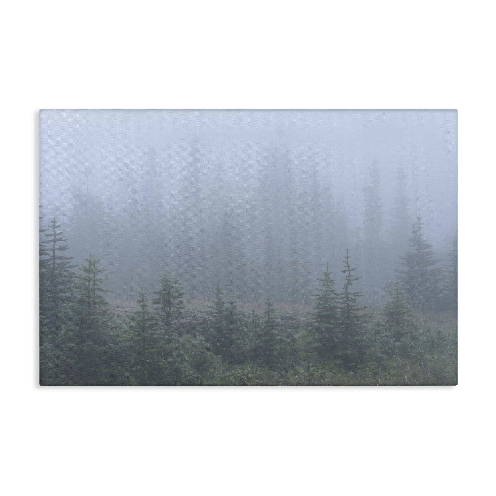 Stupell Industries Foggy Forest Trees Landscape Photography Gallery Wrapped Canvas Art Print Wall Art, 45 x 30