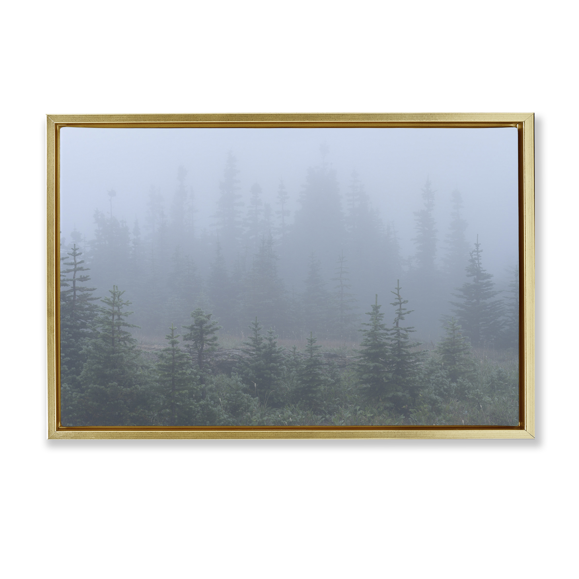 Stupell Industries Foggy Forest Trees Landscape Photography Gold Floater Framed Art Print Wall Art, 31 x 21