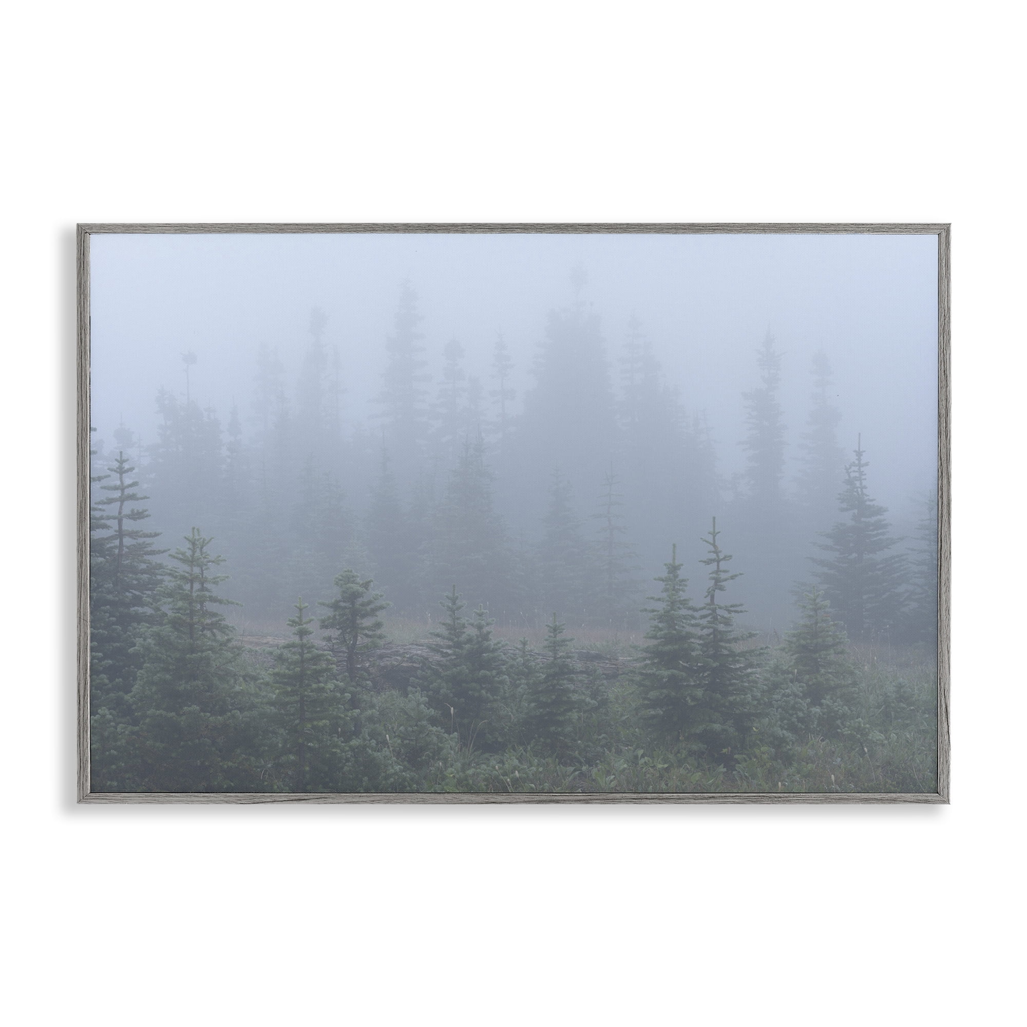 Stupell Industries Foggy Forest Trees Landscape Photography Gray Framed Art Print Wall Art, 24 x 16