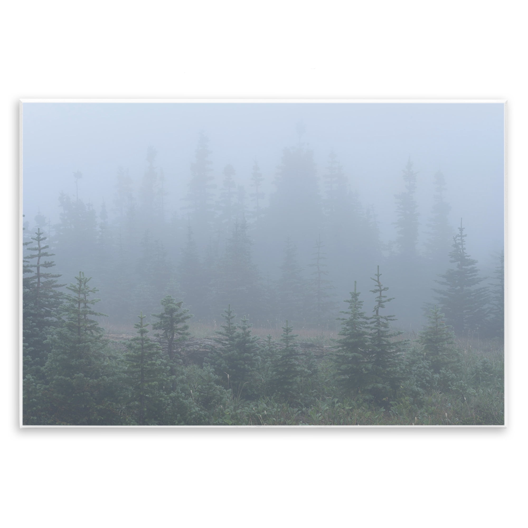Stupell Industries Foggy Forest Trees Landscape Photography Unframed Art Print Wall Art, 19 x 13