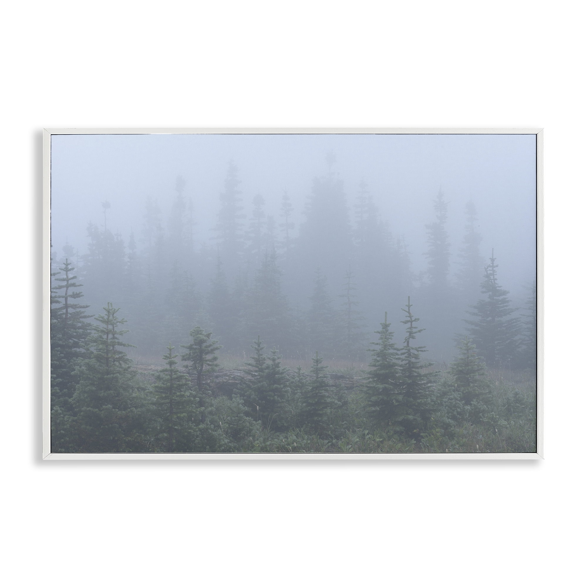 Stupell Industries Foggy Forest Trees Landscape Photography White Framed Art Print Wall Art, 24 x 16