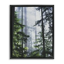 Stupell Industries Foggy Forest View Landscape Photography Black Floater Framed Art Print Wall Art, 17 x 21