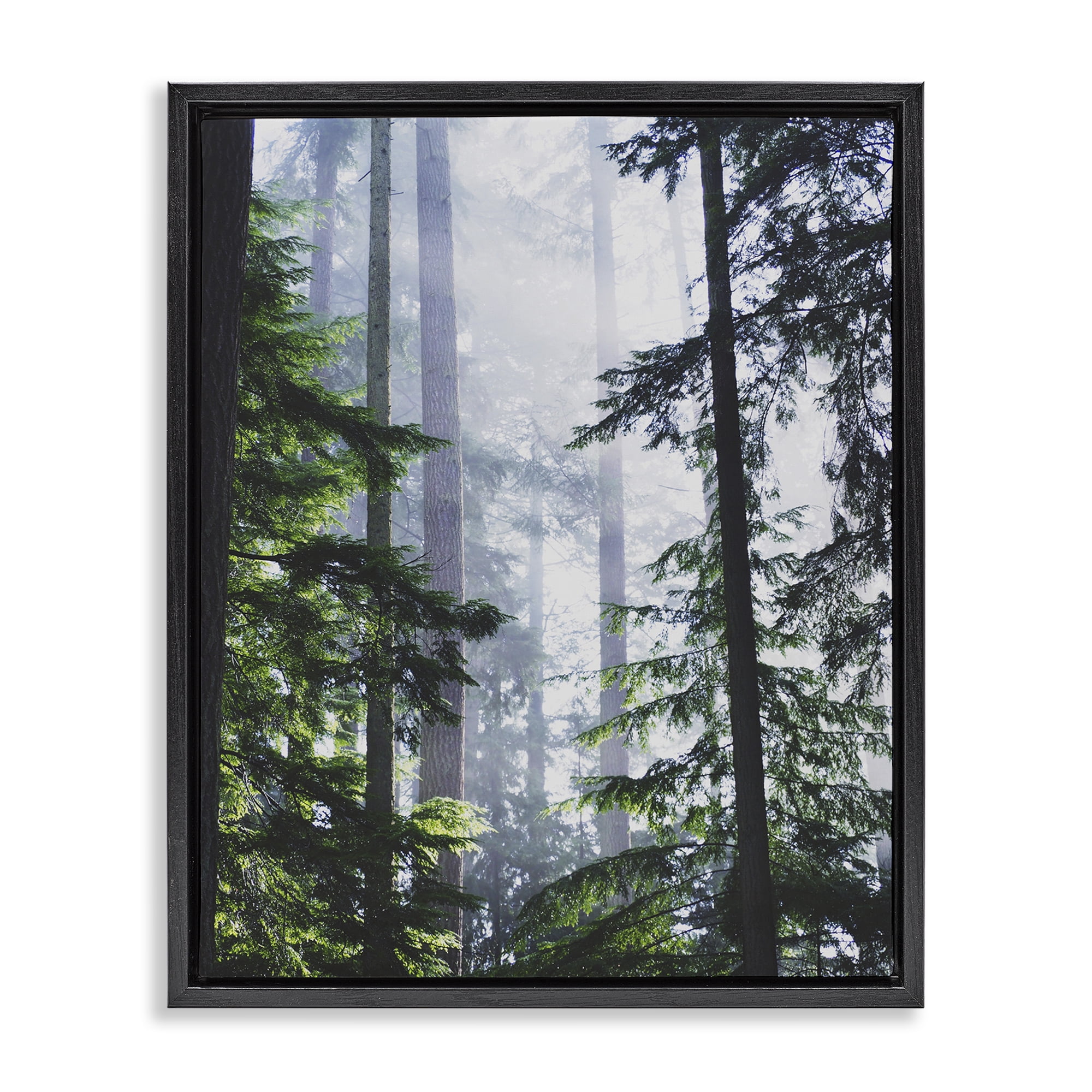 Stupell Industries Foggy Forest View Landscape Photography Black Floater Framed Art Print Wall Art, 25 x 31