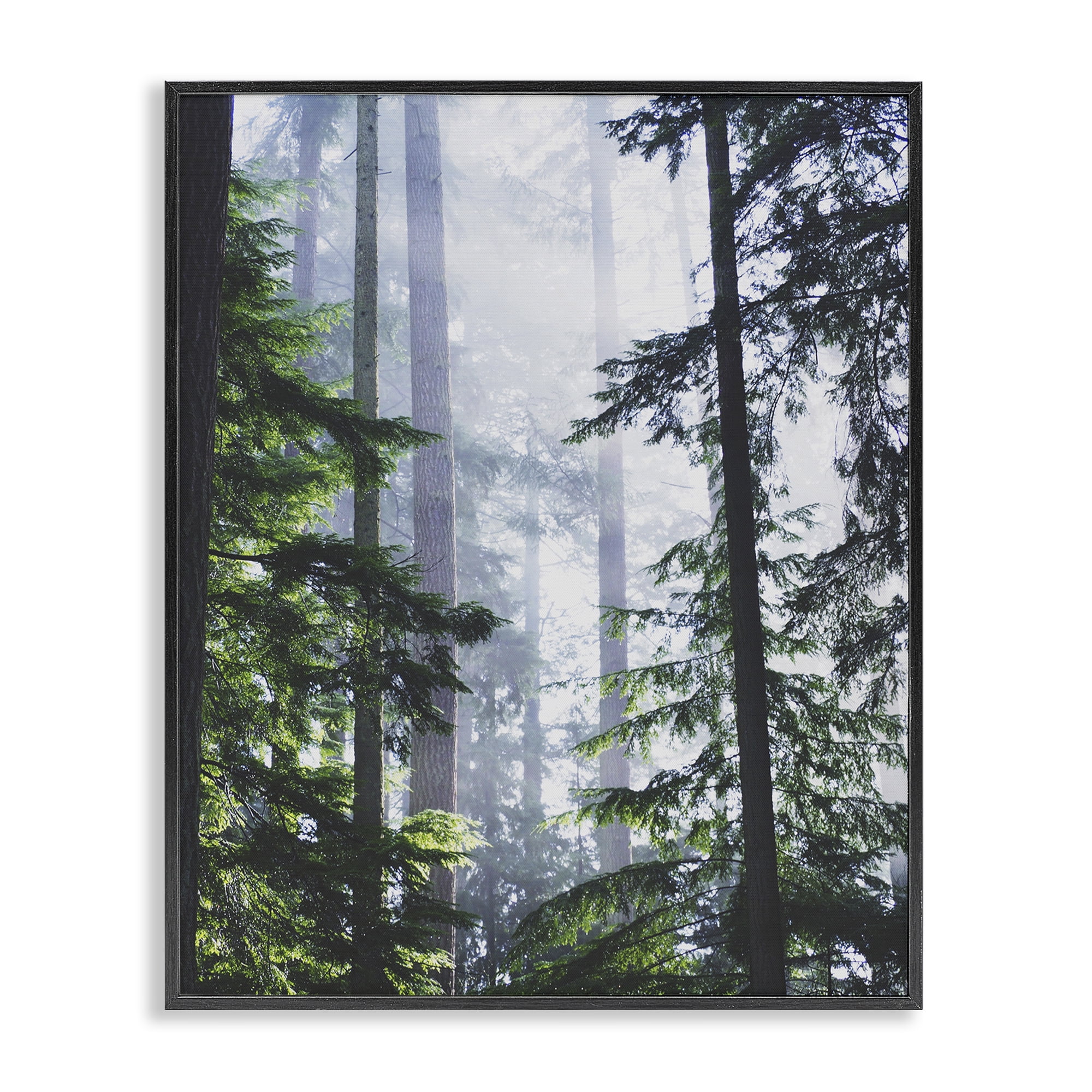 Stupell Industries Foggy Forest View Landscape Photography Black Framed Art Print Wall Art, 24 x 30