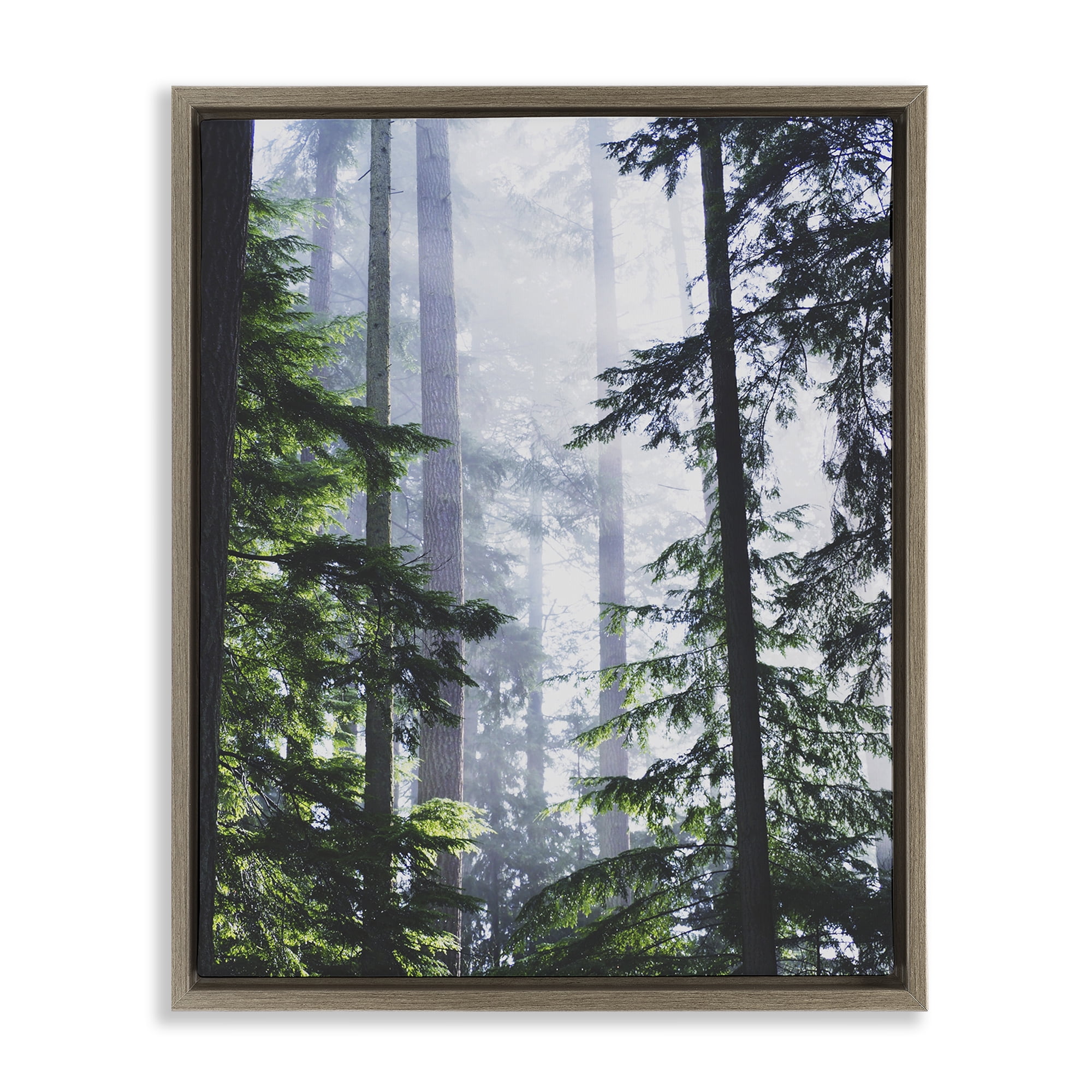 Stupell Industries Foggy Forest View Landscape Photography Brown Floater Framed Art Print Wall Art, 17 x 21