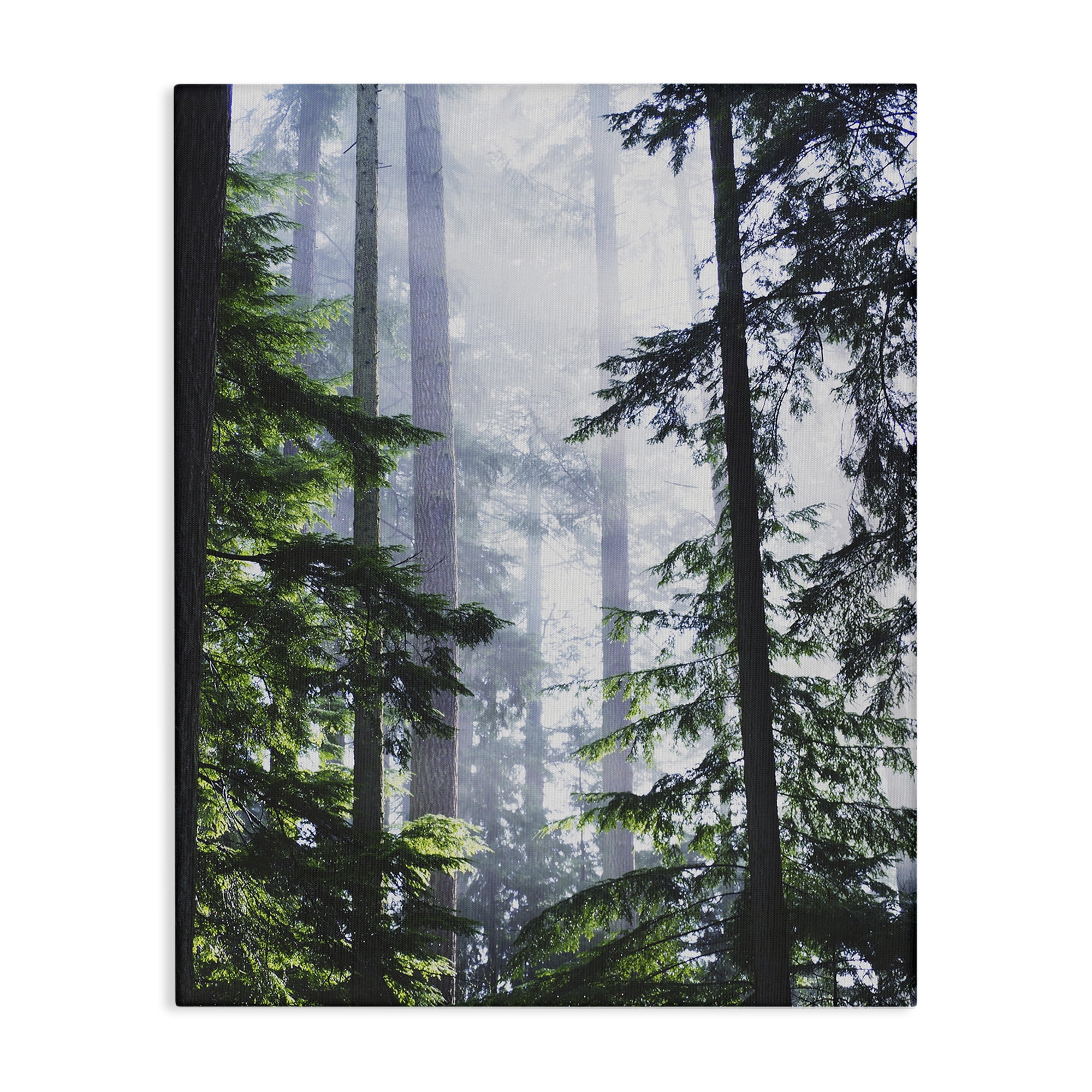 Stupell Industries Foggy Forest View Landscape Photography Gallery Wrapped Canvas Art Print Wall Art, 30 x 40