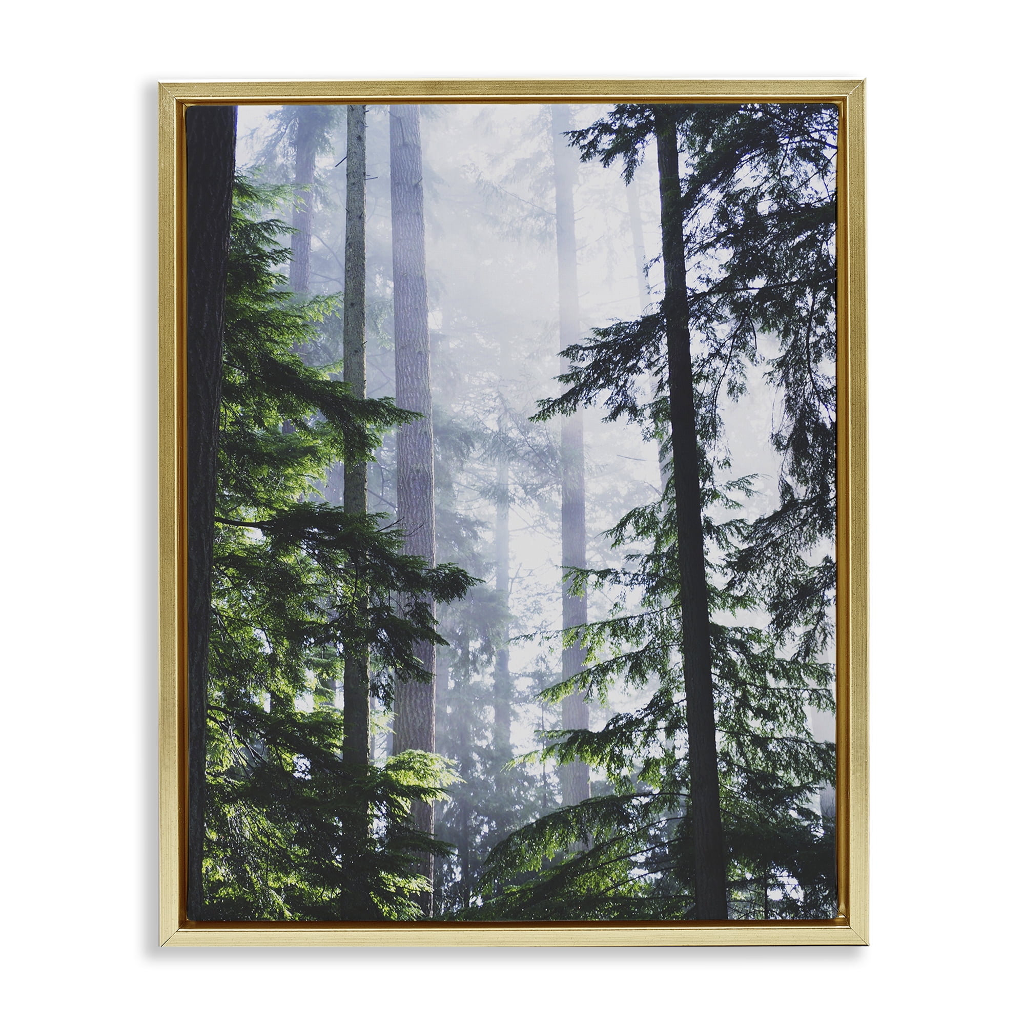 Stupell Industries Foggy Forest View Landscape Photography Gold Floater Framed Art Print Wall Art, 17 x 21