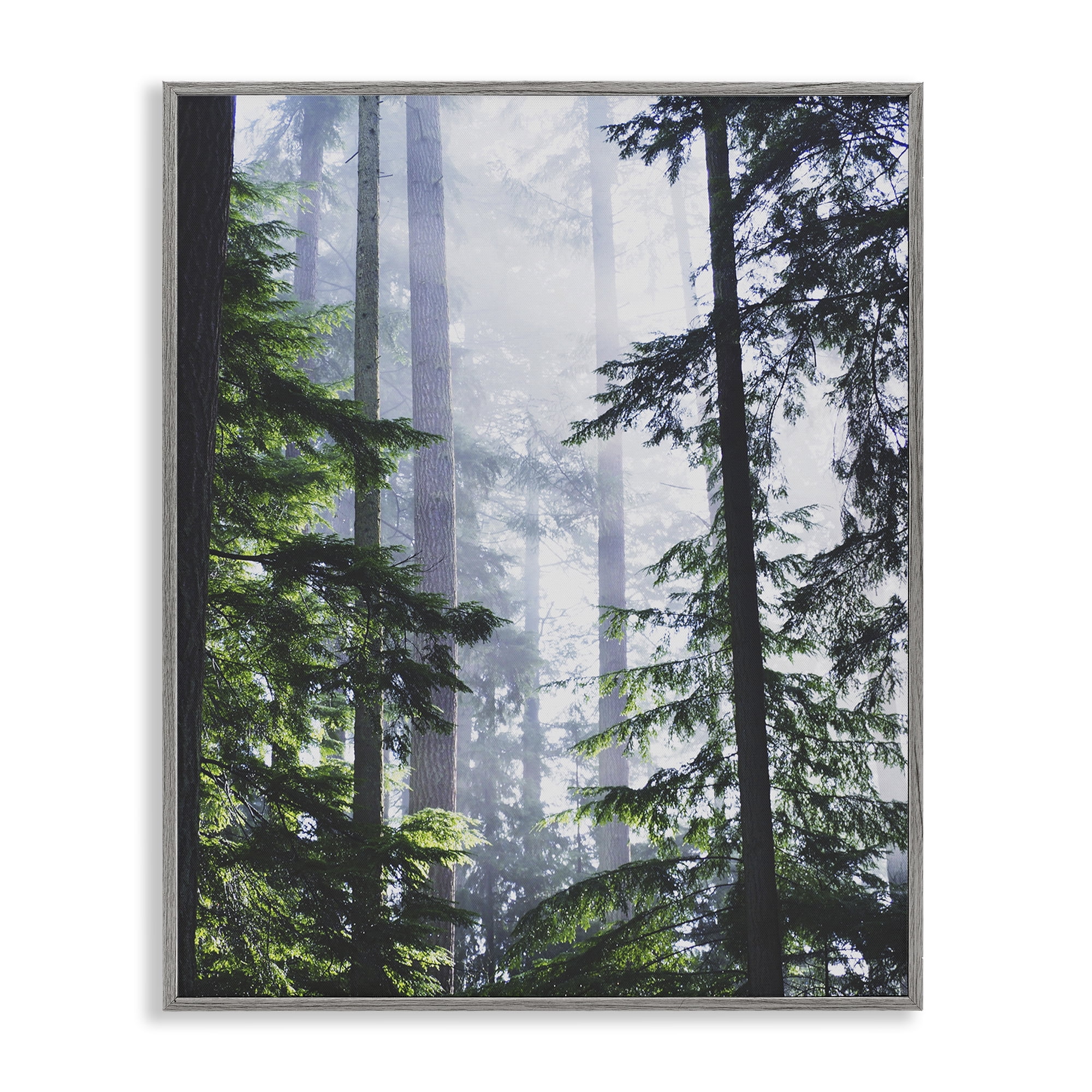 Stupell Industries Foggy Forest View Landscape Photography Gray Framed Art Print Wall Art, 16 x 20