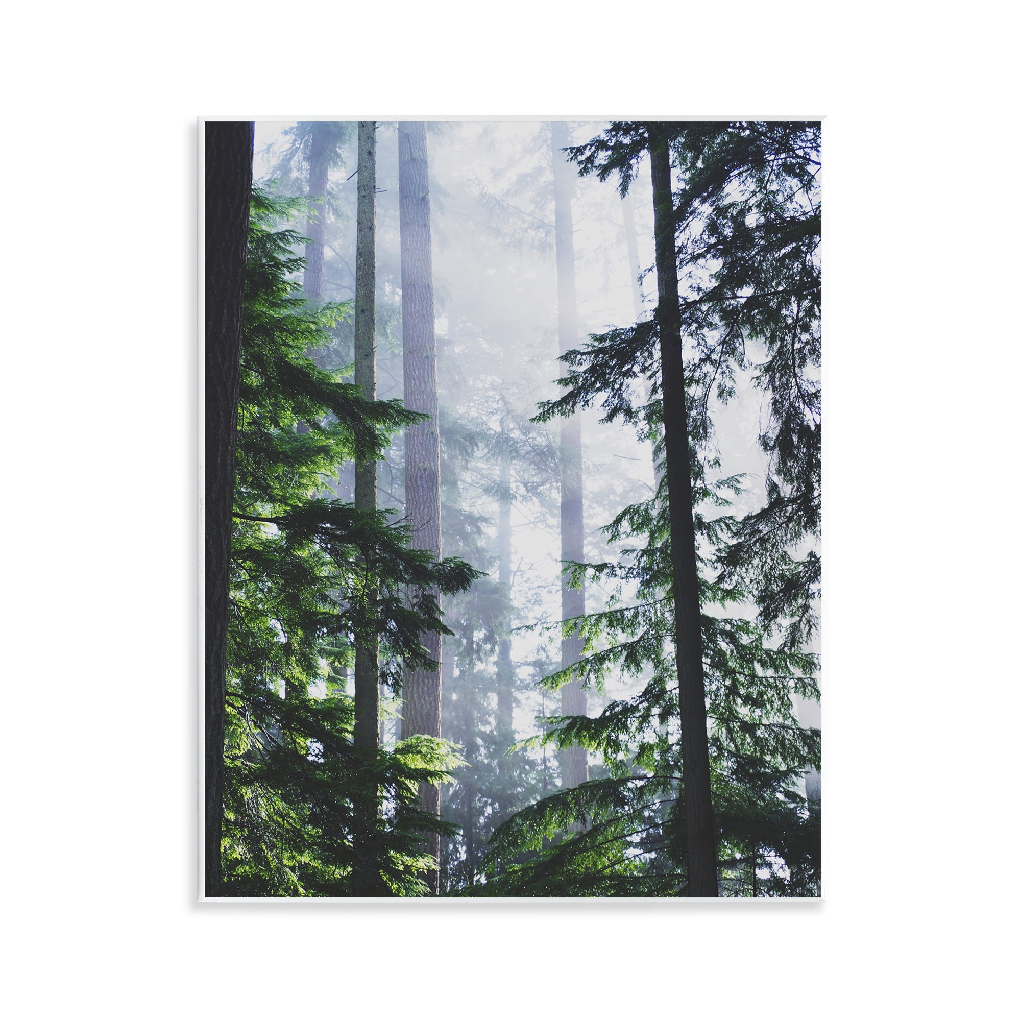 Stupell Industries Foggy Forest View Landscape Photography Unframed Art ...