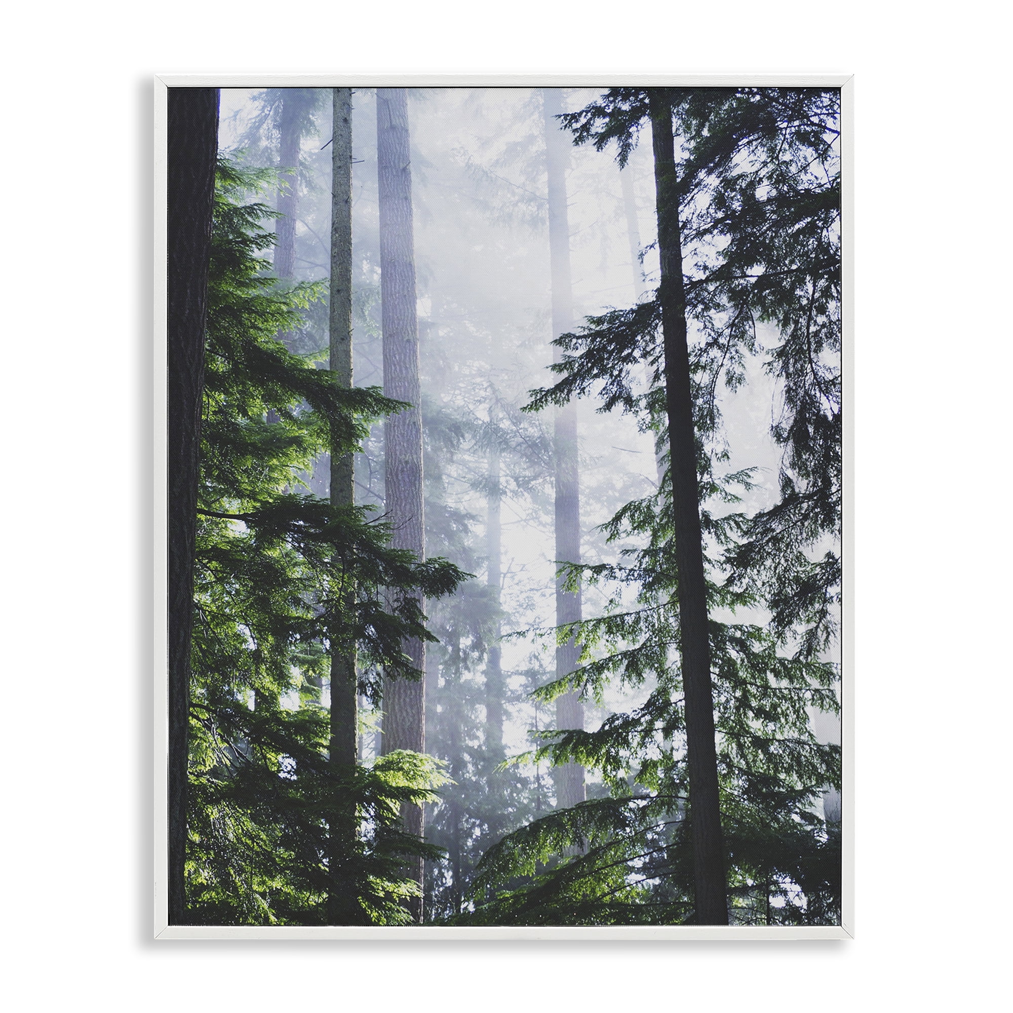 Stupell Industries Foggy Forest View Landscape Photography White Framed Art Print Wall Art, 16 x 20