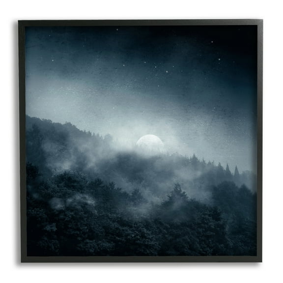 Stupell Industries Foggy Full Moon Night Sky Landscape Painting Black Framed Art Print Wall Art