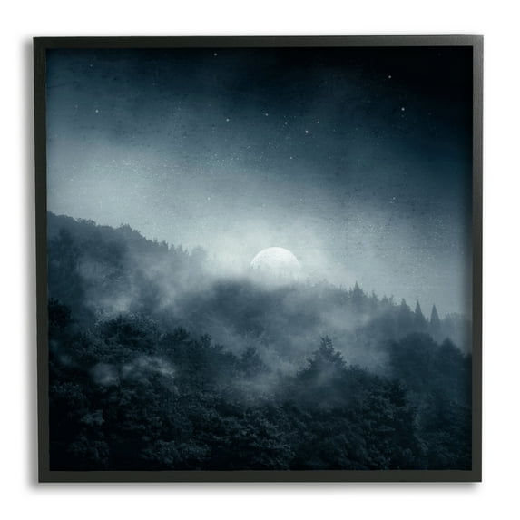 Stupell Industries Foggy Full Moon Night Sky Landscape Painting Black Framed Art Print Wall Art