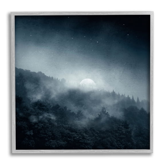 Stupell Industries Foggy Full Moon Night Sky Landscape Painting Gray Framed Art Print Wall Art