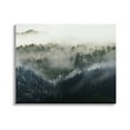 thumbnail image 1 of Stupell Industries Foggy Green Mountain Peaks Photograph Gallery Wrapped Canvas Print Wall Art, Design by Ziwei Li, 1 of 7