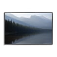 thumbnail image 1 of Stupell Industries Foggy Lakeside Trees Landscape Photography Black Framed Art Print Wall Art, 18 x 12, 1 of 10