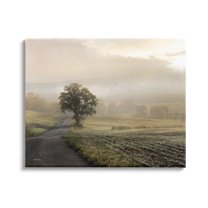 Stupell Industries Foggy Misty Morning Lone Tree Farmland Field, 20 x 16, Design by Lori Deiter