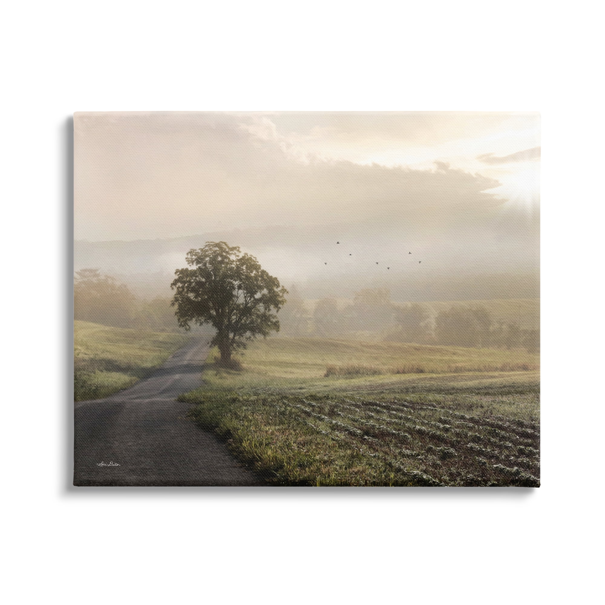 Stupell Industries Foggy Misty Morning Lone Tree Farmland Field, 48 x 36, Design by Lori Deiter