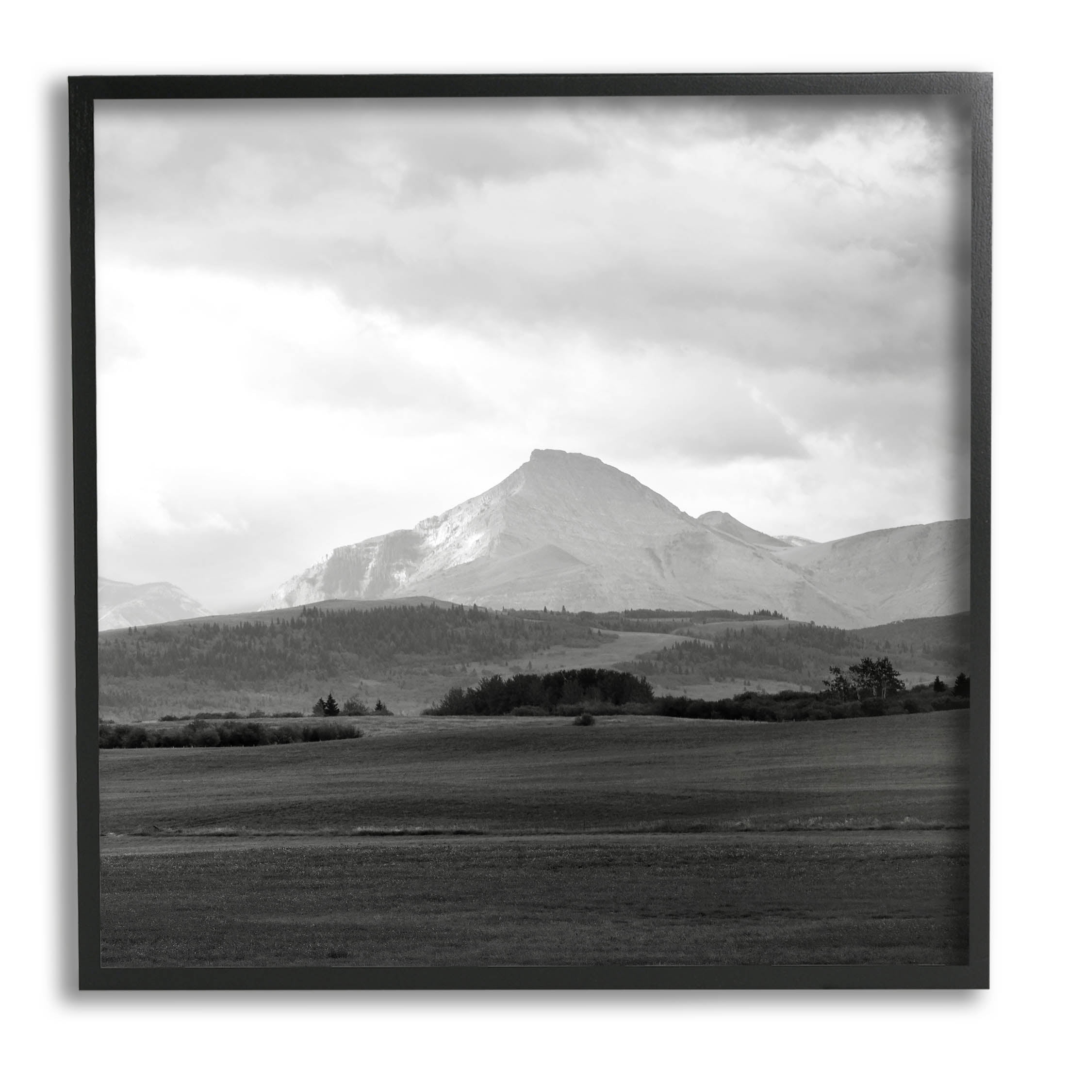 Stupell Industries Foggy Mountain Grassland Photograph Black Framed Art Print Wall Art, Design by Carol Robinson