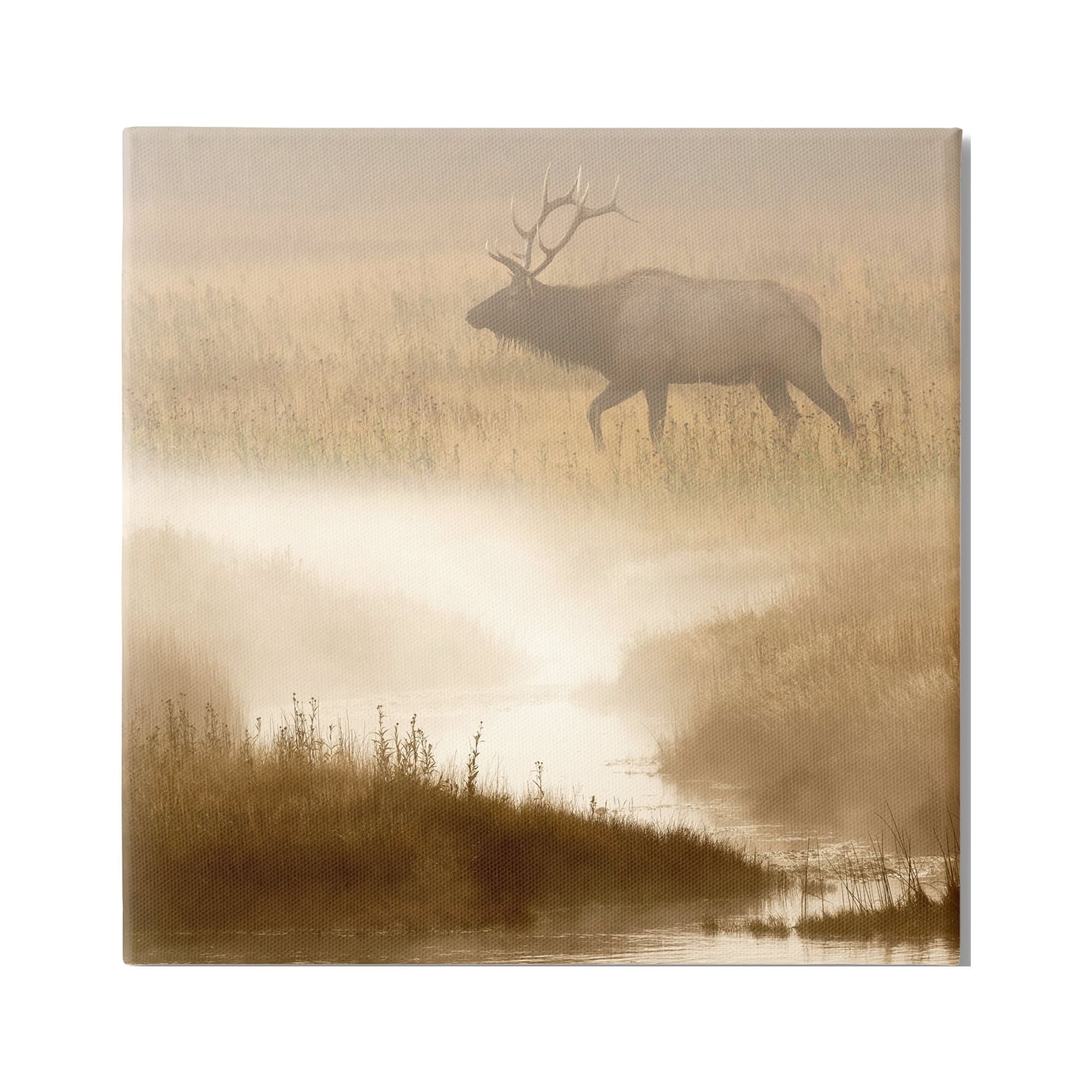 Stupell Industries Foggy River Deer Scene Animals & Insects Photography Gallery Wrapped Canvas Art Print Wall Art, 30 x 30