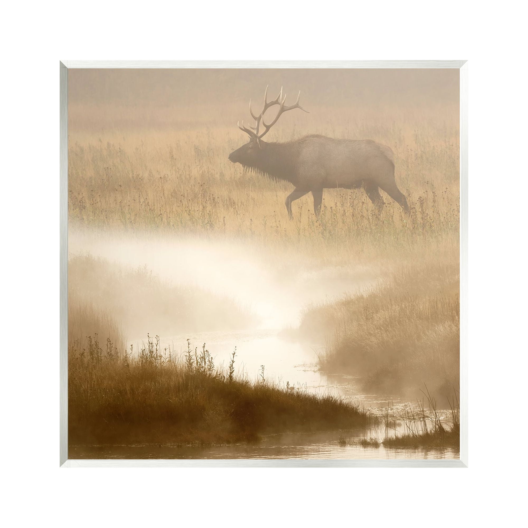 Stupell Industries Foggy River Deer Scene Animals & Insects Photography Unframed Art Print Wall Art, 12 x 12