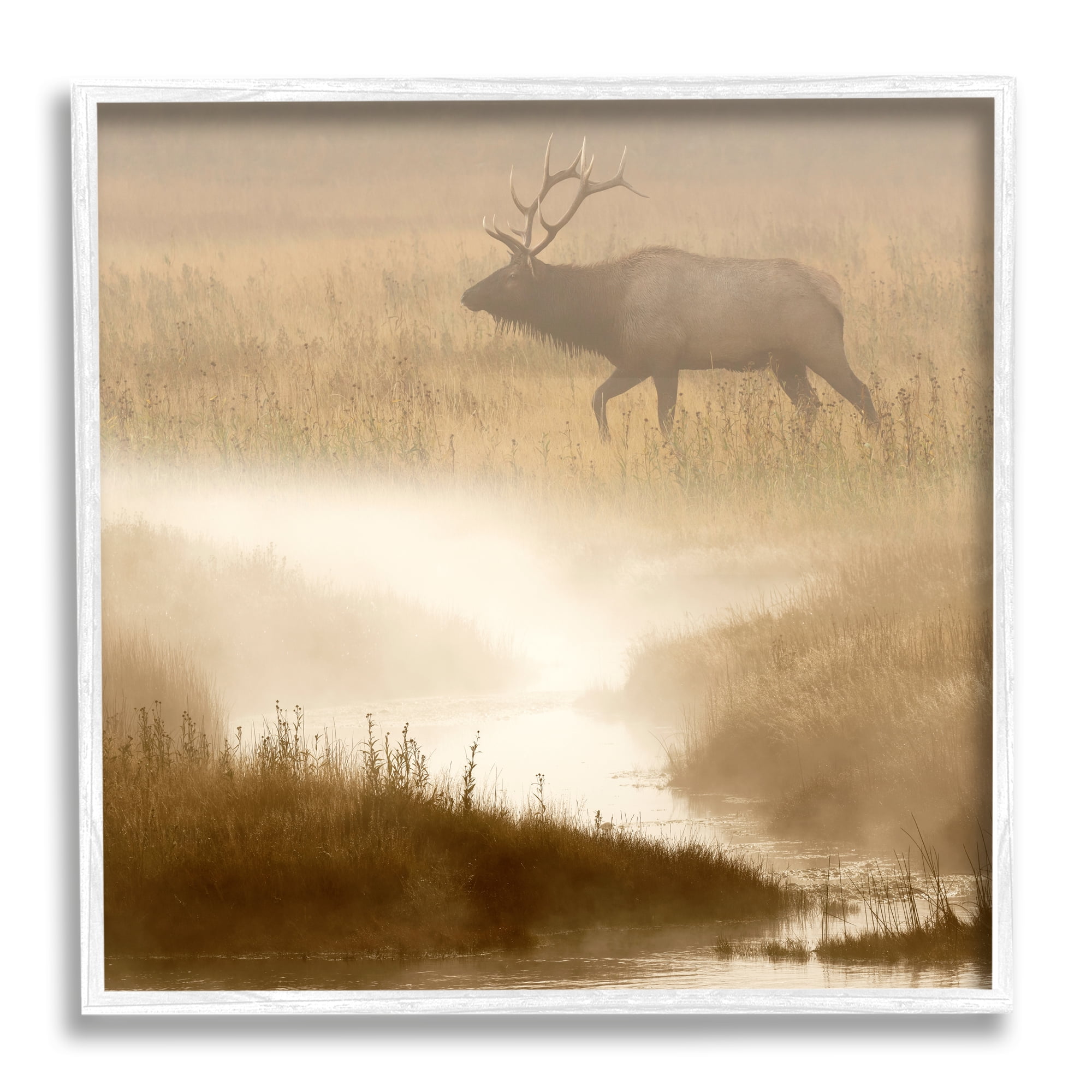 Stupell Industries Foggy River Deer Scene Animals & Insects Photography White Framed Art Print Wall Art, 12 x 12