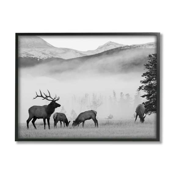 Stupell Industries Foggy Rural Deer Grazing Photograph Black Framed Art Print Wall Art, Design by Danita Delimont