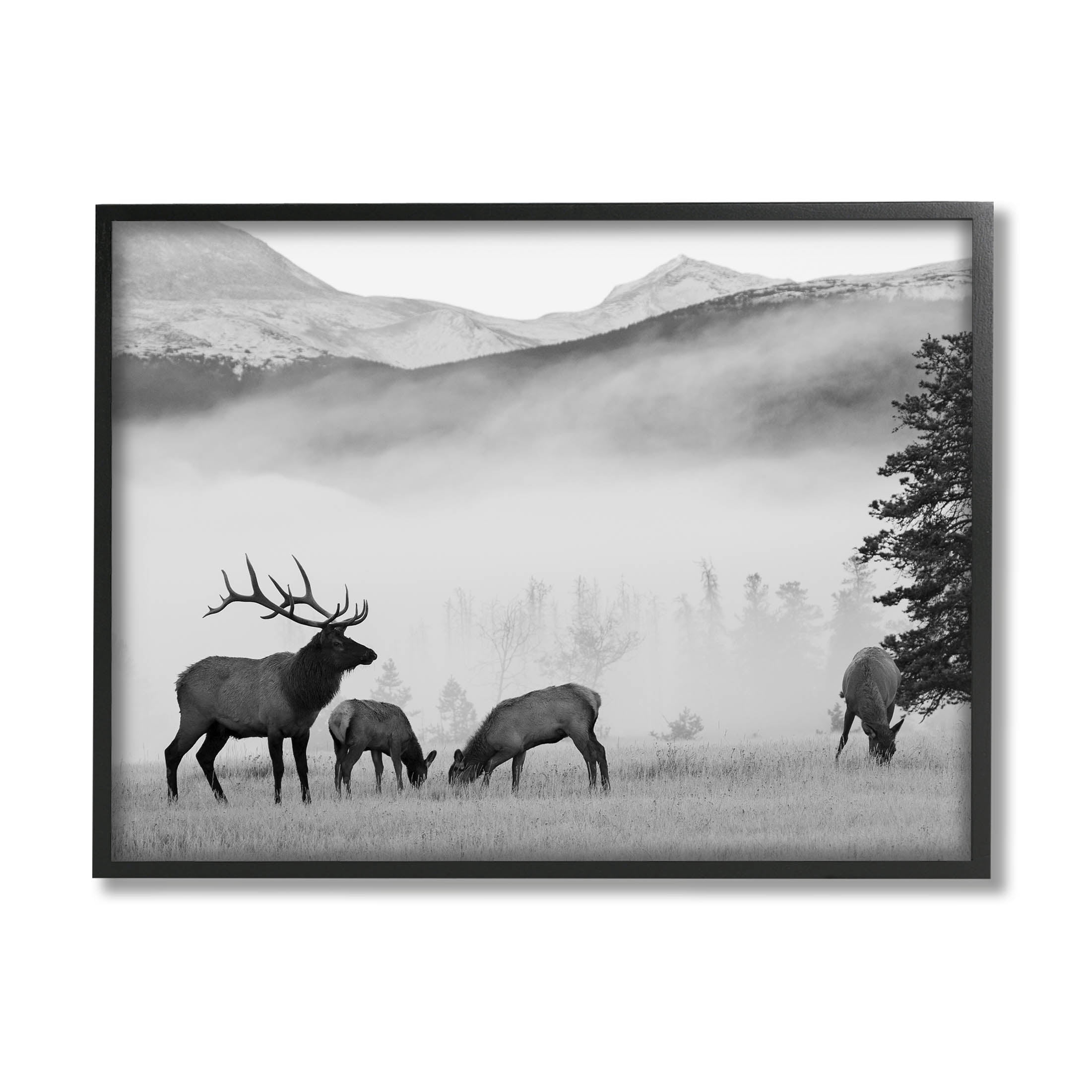 Stupell Industries Foggy Rural Deer Grazing Photograph Black Framed Art Print Wall Art, Design by Danita Delimont