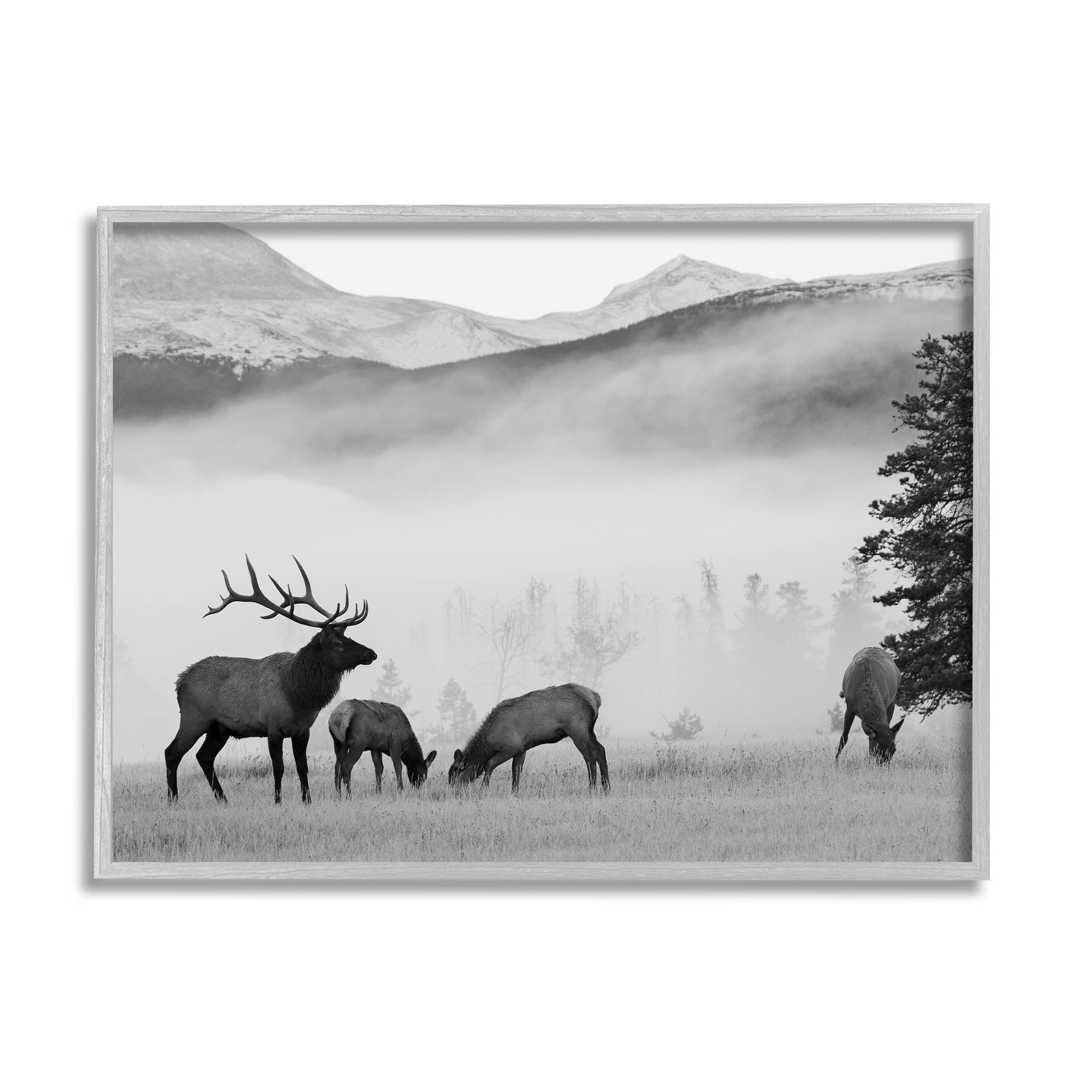 Stupell Industries Foggy Rural Deer Grazing Photograph Gray Framed Art Print Wall Art, Design by Danita Delimont