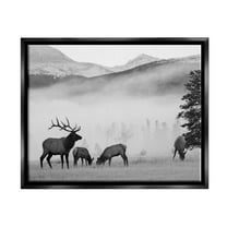 Stupell Industries Foggy Rural Deer Grazing Photograph Jet Black Floating Framed Canvas Print Wall Art, Design by Danita Delimont