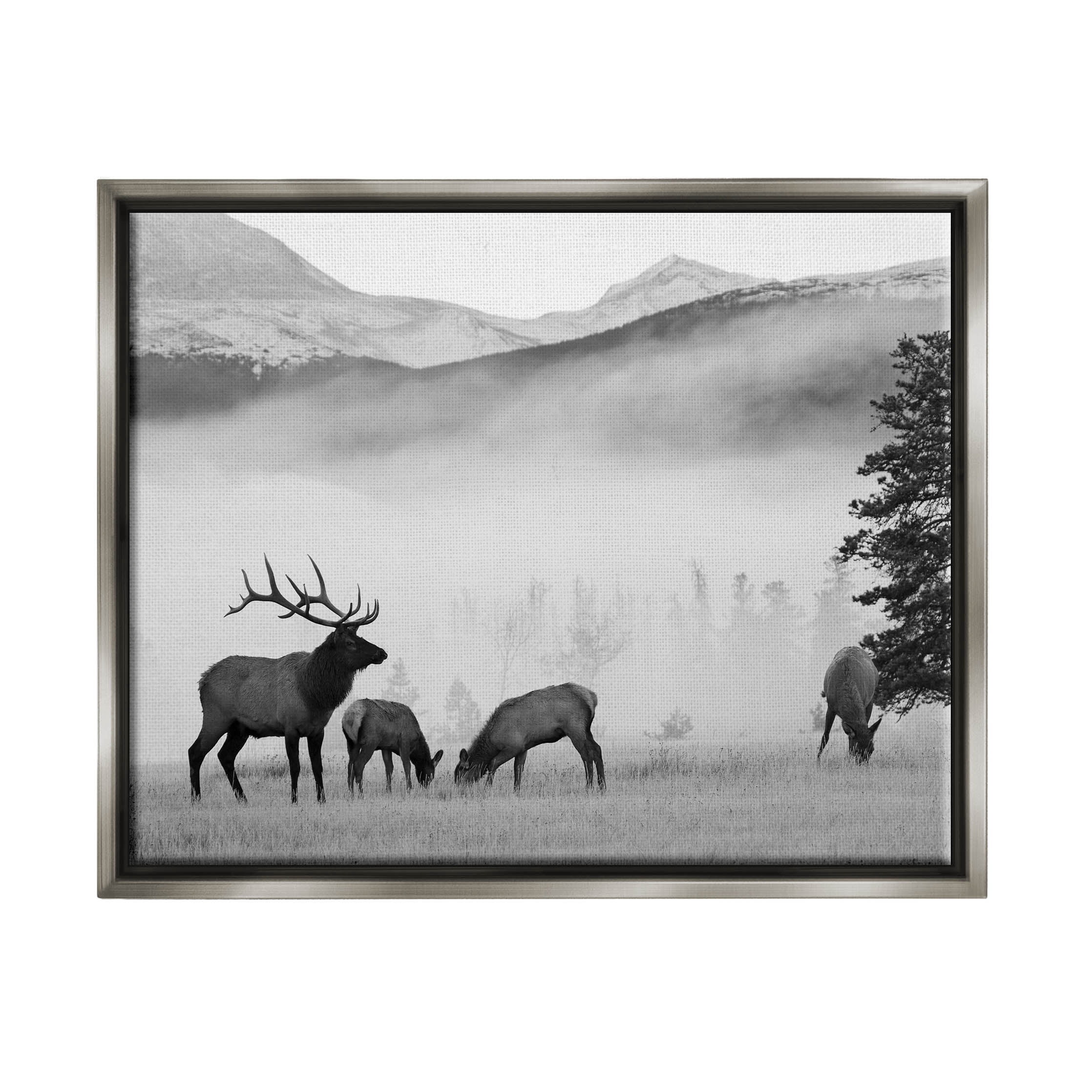 Stupell Industries Foggy Rural Deer Grazing Photograph Luster Gray Floating Framed Canvas Print Wall Art, Design by Danita Delimont