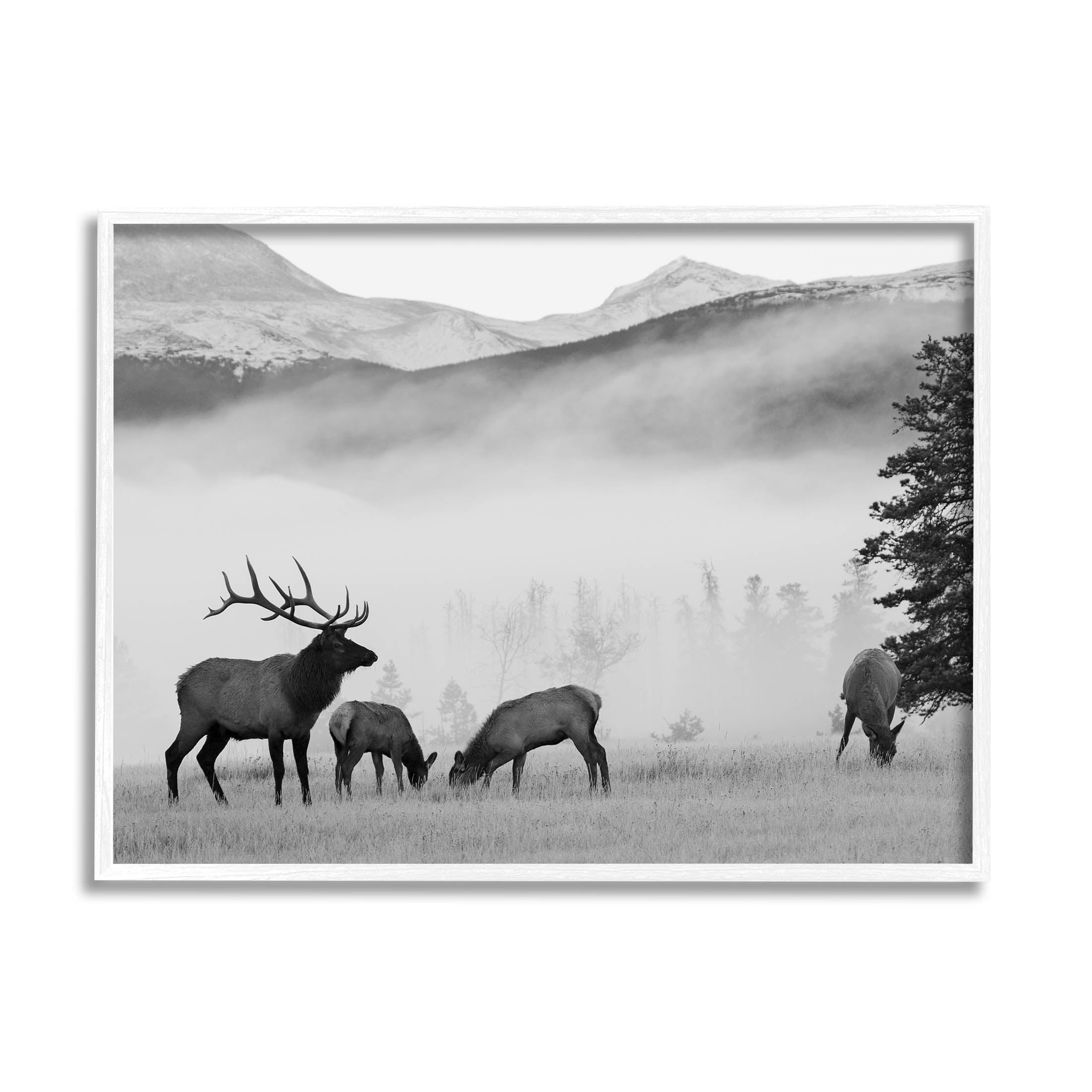 Stupell Industries Foggy Rural Deer Grazing Photograph White Framed Art Print Wall Art, Design by Danita Delimont