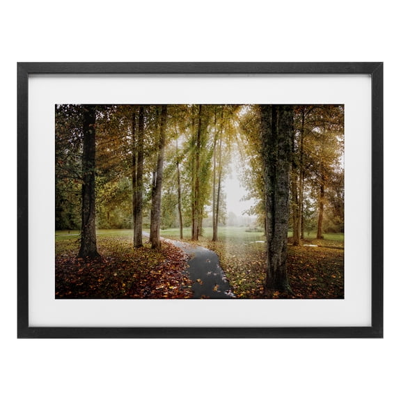 Stupell Industries Follow The Light Forest Path Black Framed Print Under Glass design by Celebrate Life Gallery, 14 x 20
